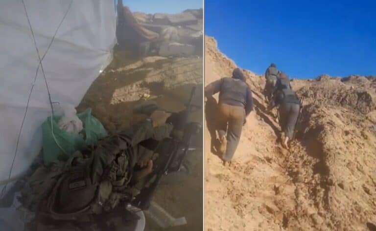 هجوم جحر الديك