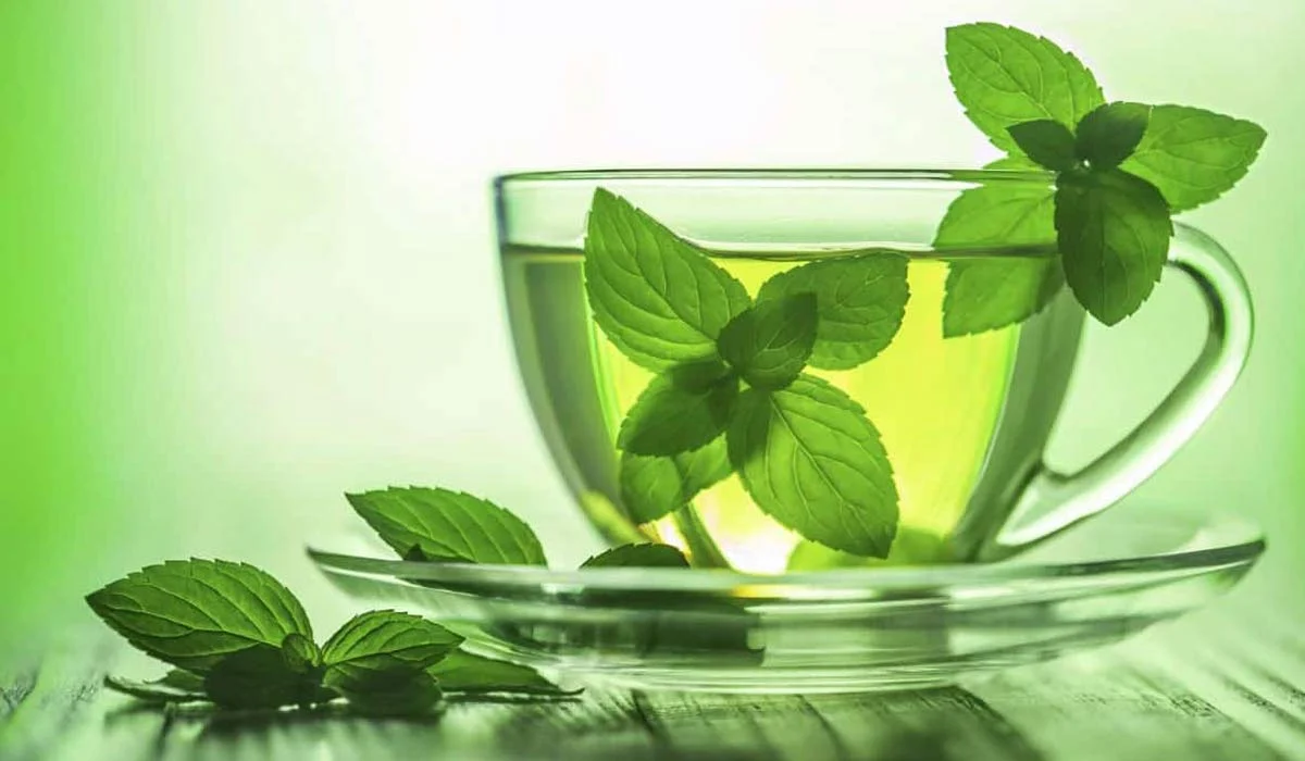 شاي النعناع.. مشروب سحري لا يجب الاستغناء عنه بتاتاً شاي النعناع.. مشروب سحري لا يجب الاستغناء عنه بتاتاً