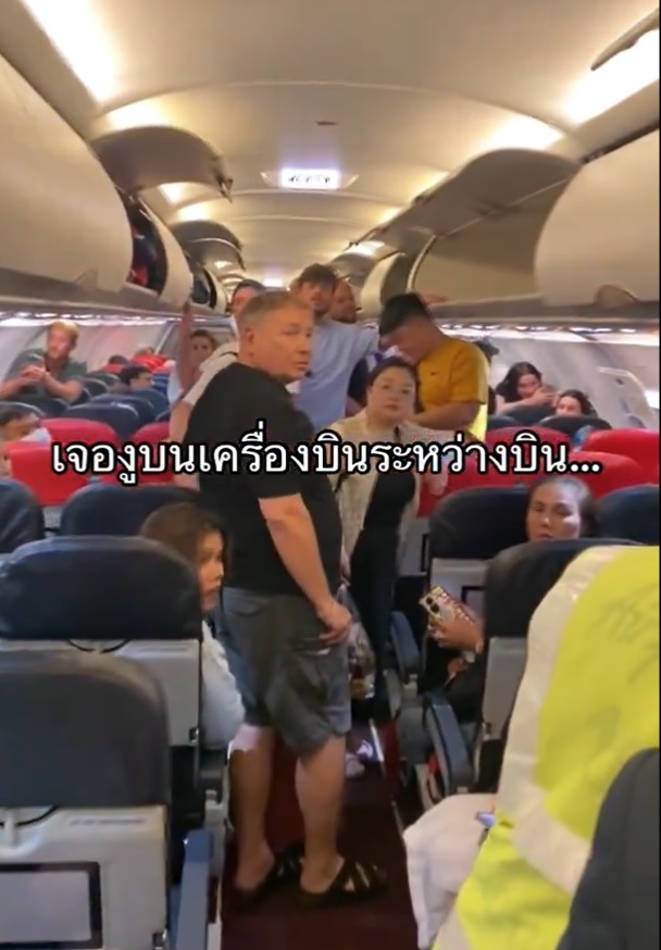 العثور على ثعبان حي في طائرة لشركة طيران آسيا