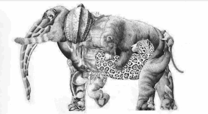 كم حيوان بالصورة ؟