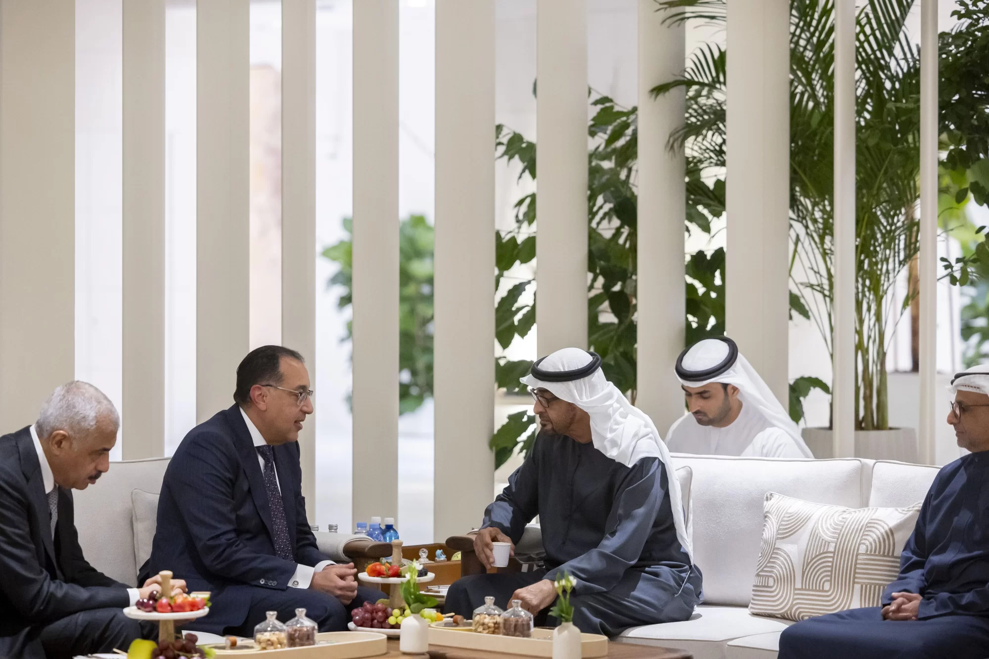 هشام طلعت مع محمد بن زايد