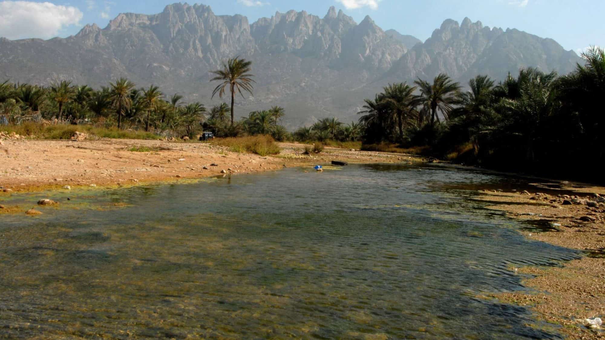 جزيرة سقطرى