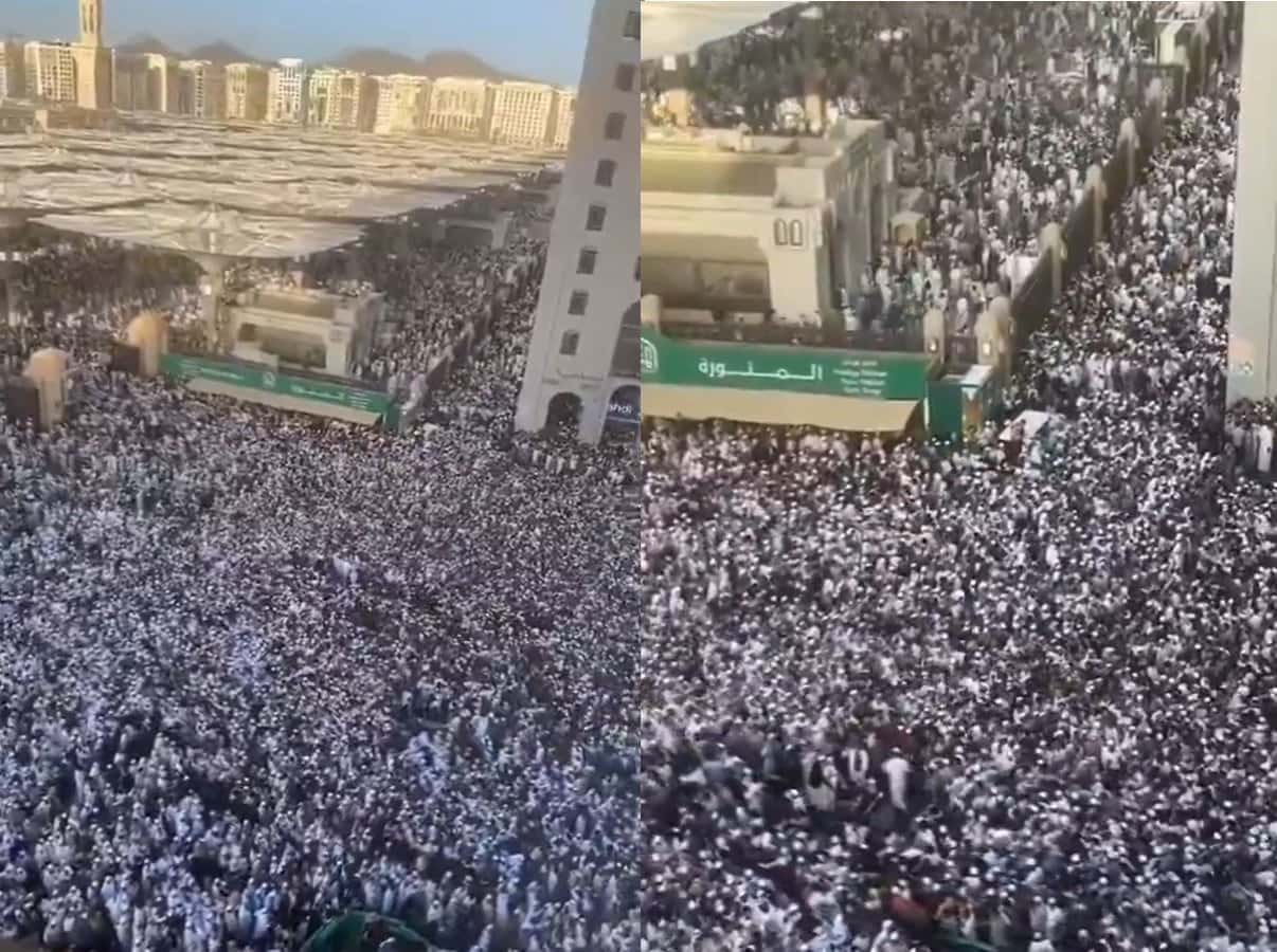 فيديو يثير جدلاً .. “وفيات في الحرم النبوي جراء التدافع”! (شاهد) حقيقة فيديو سقوط وفيات جراء التدافع في الحرم النبوي