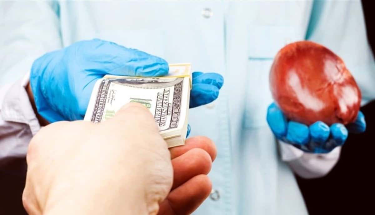 صدمة في مصر بعد تكرار كارثة طفل شبرا.. أم تحاول قتل طفلها لبيع أعضائه (تفاصيل لا تُصدق) تجارة الأعضاء