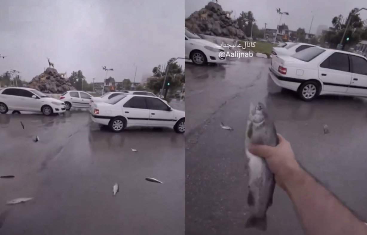 ظاهرة حيّرت العلماء .. تساقط أسماك من السماء في إيران! (فيديو) تساقط أسماك من السماء في إيران