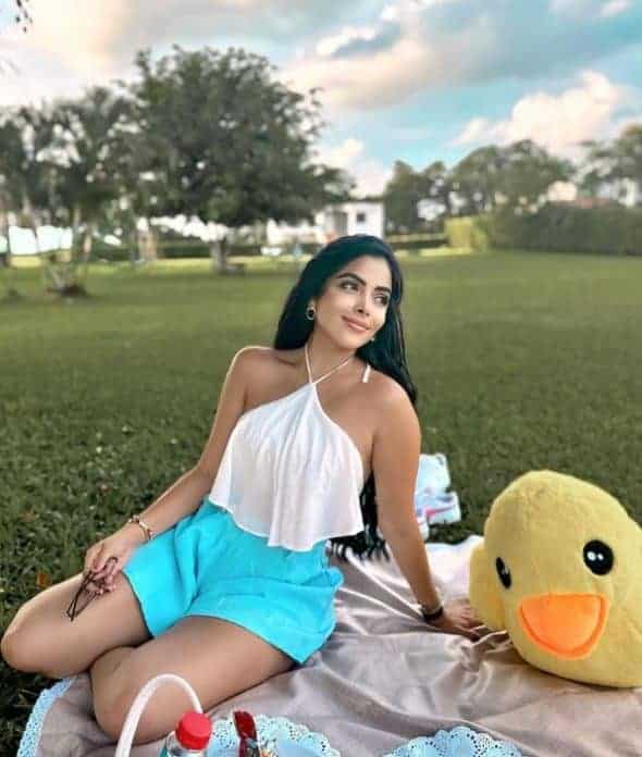 لاندي باراجا جويبورو