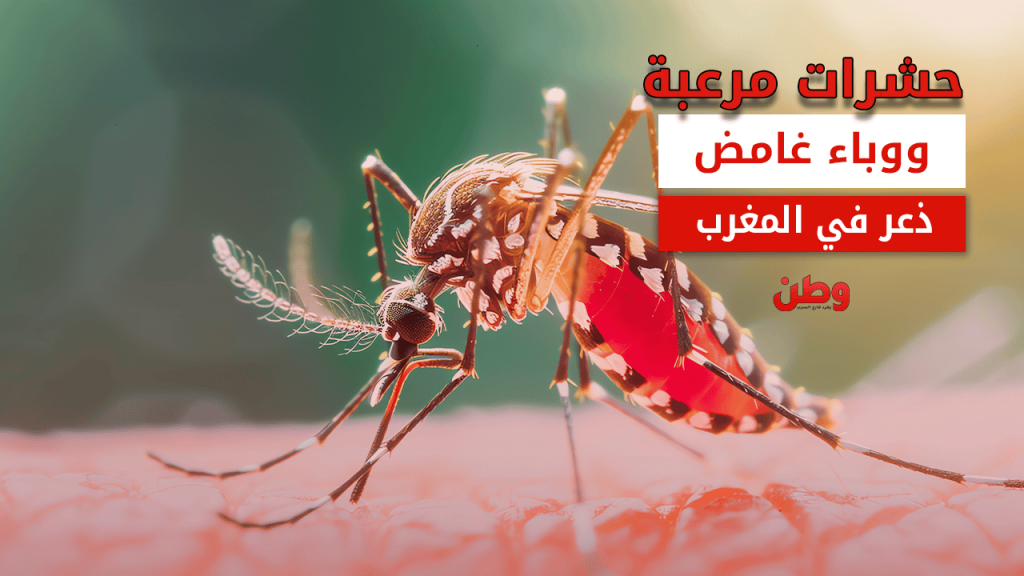 مرض جلدي غريب في المغرب