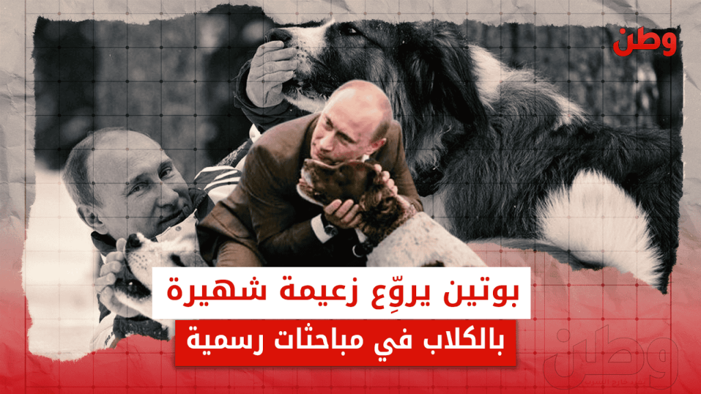 بوتين والكلاب