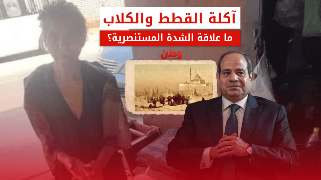 سيدة مشردة تأكل القطط والكلاب في مصر