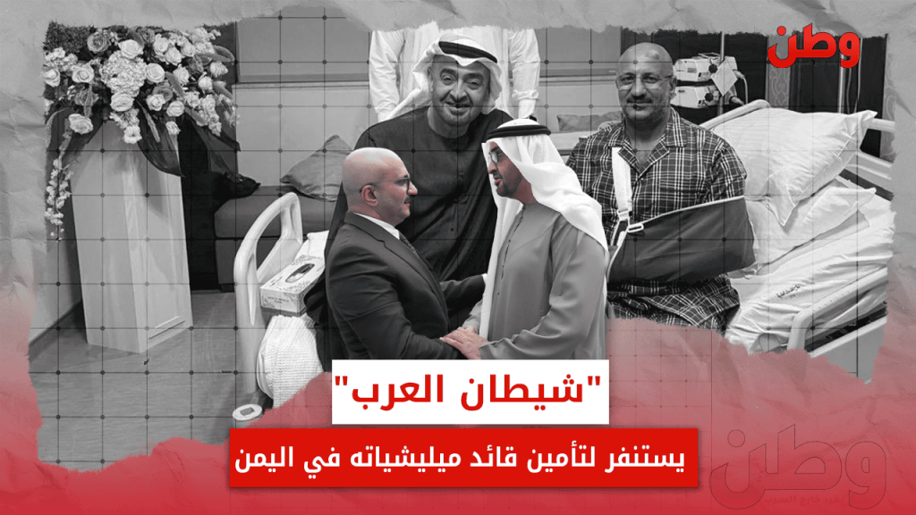 محمد بن زايد وطارق صالح