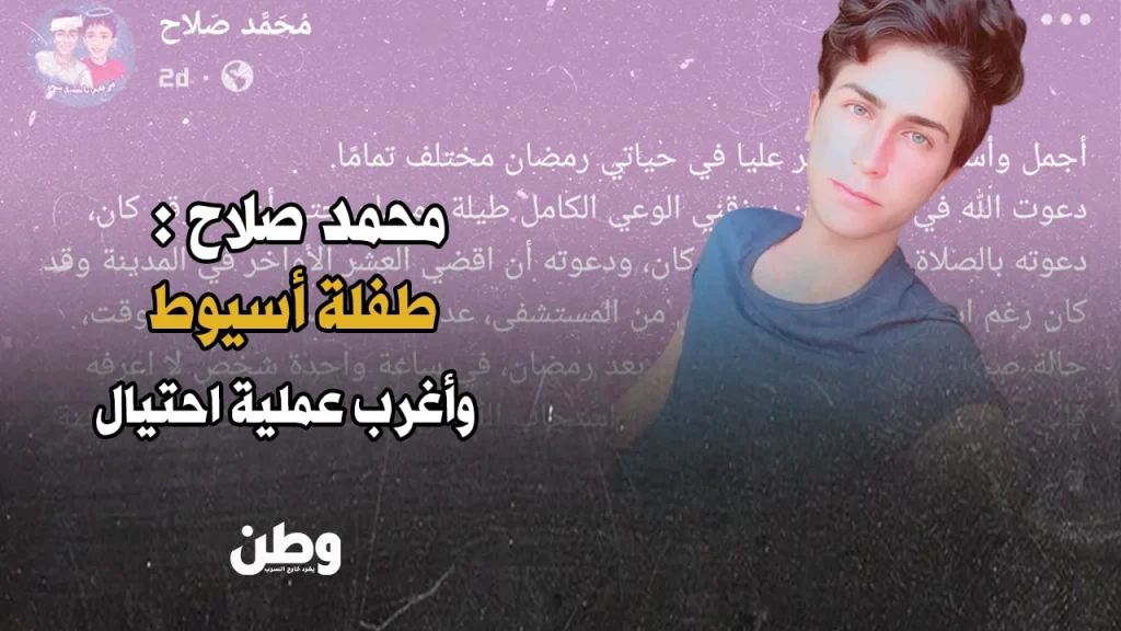 احتيال إلكتروني في مصر