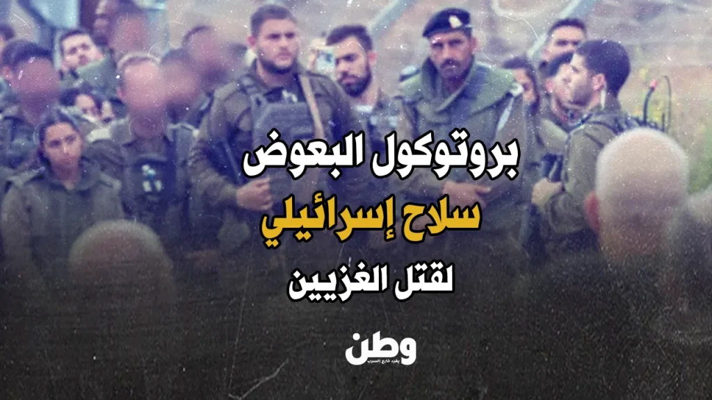 بروتوكول البعوض