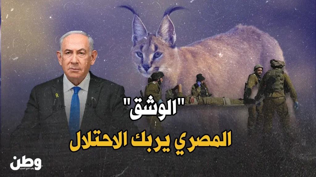 هجوم الوشق المصري على جنود الاحتلال