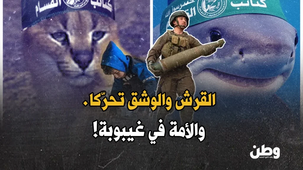 هجوم سمكة قرش على إسرائيلي