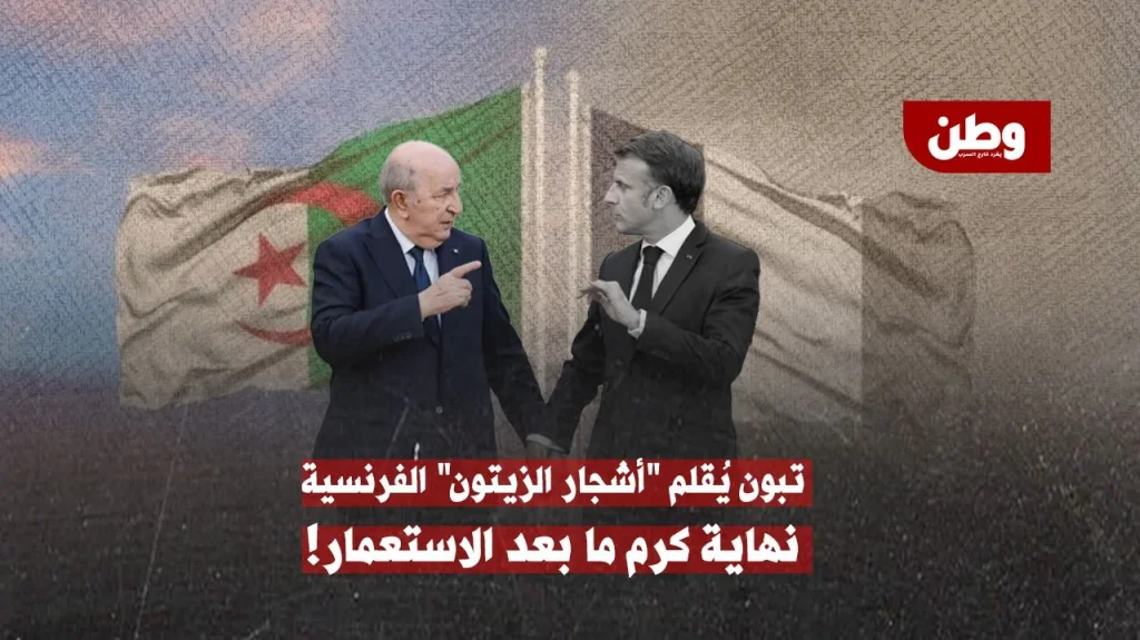 السفارة الفرنسية في الجزائر